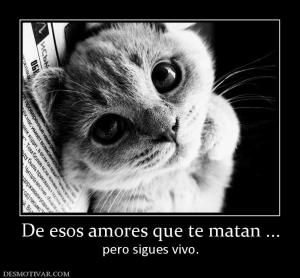 De esos amores que te matan ... pero sigues vivo.