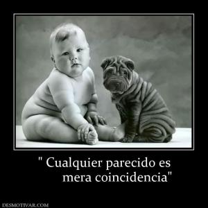 mera coincidencia
