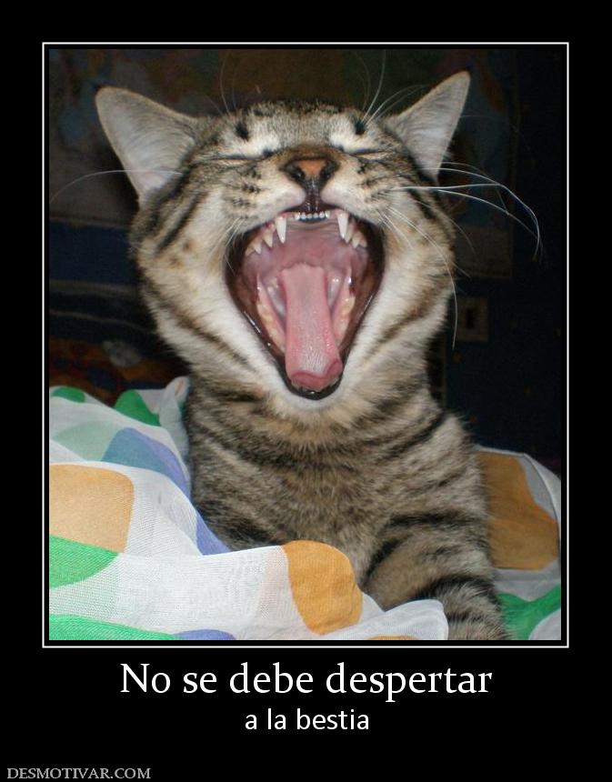 No se debe despertar a la bestia
