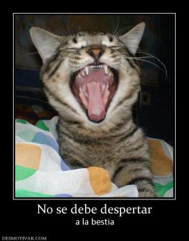 No se debe despertar a la bestia
