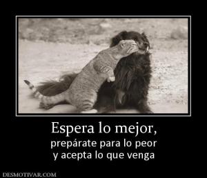 Espera lo mejor, prepárate para lo peor y acepta lo que venga