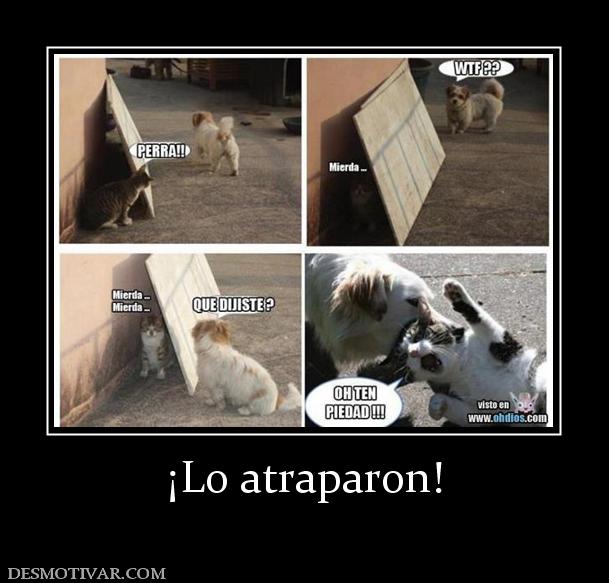 ¡Lo atraparon!