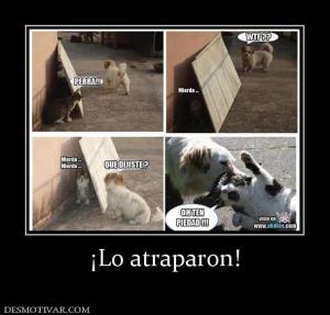 ¡Lo atraparon!