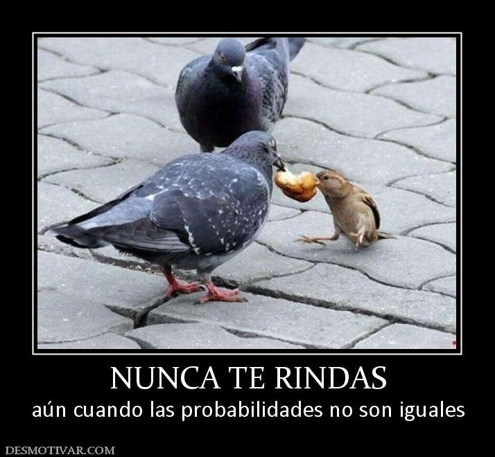NUNCA TE RINDAS aún cuando las probabilidades no son iguales