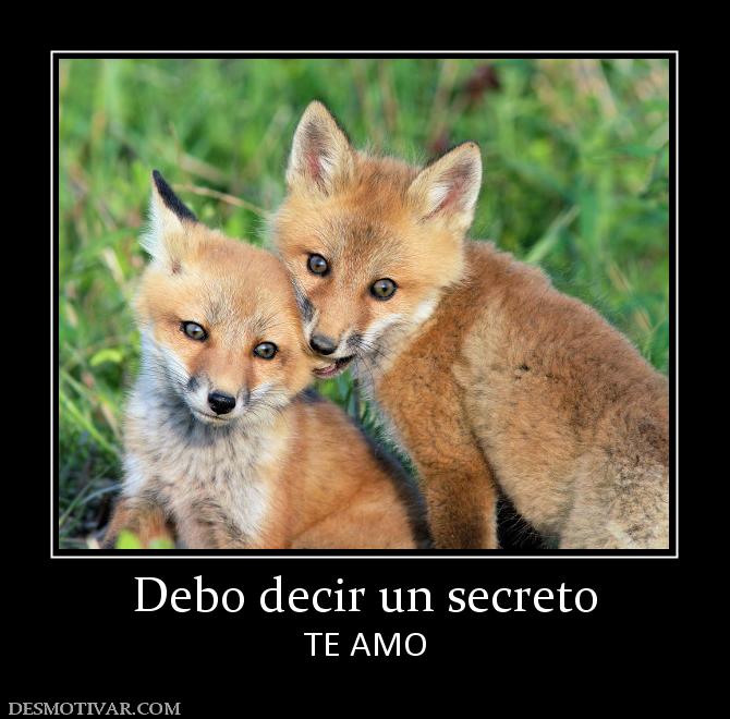 Debo decir un secreto TE AMO