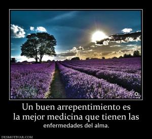 Un buen arrepentimiento es la mejor medicina que tienen las  enfermedades del alma.