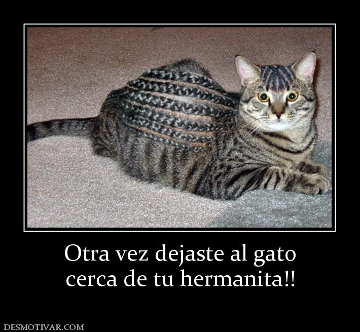 Otra vez dejaste al gato cerca de tu hermanita!!
