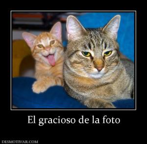 El gracioso de la foto