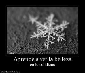 Aprende a ver la belleza en lo cotidiano