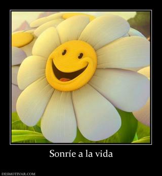 Sonríe a la vida