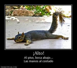 ¡Alto! Al piso, boca abajo... Las manos al costado