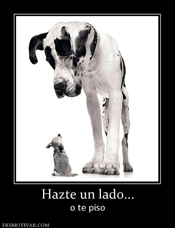 Hazte un lado... o te piso