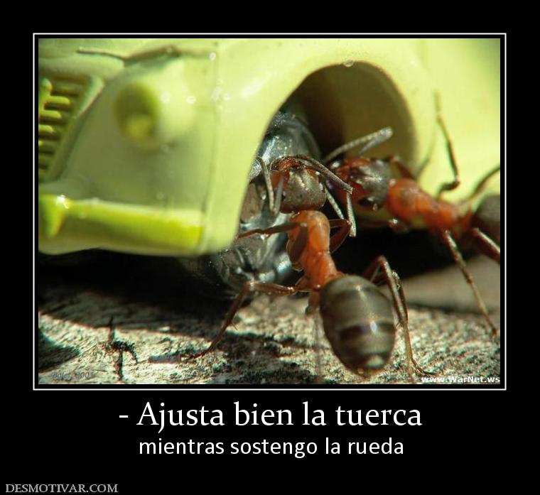 - Ajusta bien la tuerca mientras sostengo la rueda