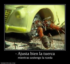 - Ajusta bien la tuerca mientras sostengo la rueda