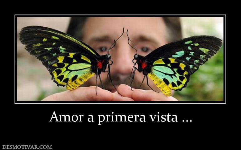Amor a primera vista ...