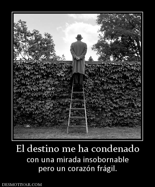 El destino me ha condenado con una mirada insobornable pero un corazón frágil.