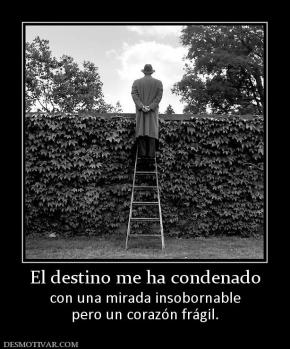 El destino me ha condenado con una mirada insobornable pero un corazón frágil.