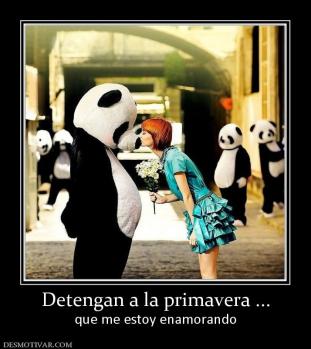 Detengan a la primavera ... que me estoy enamorando