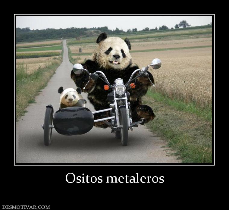 Ositos metaleros