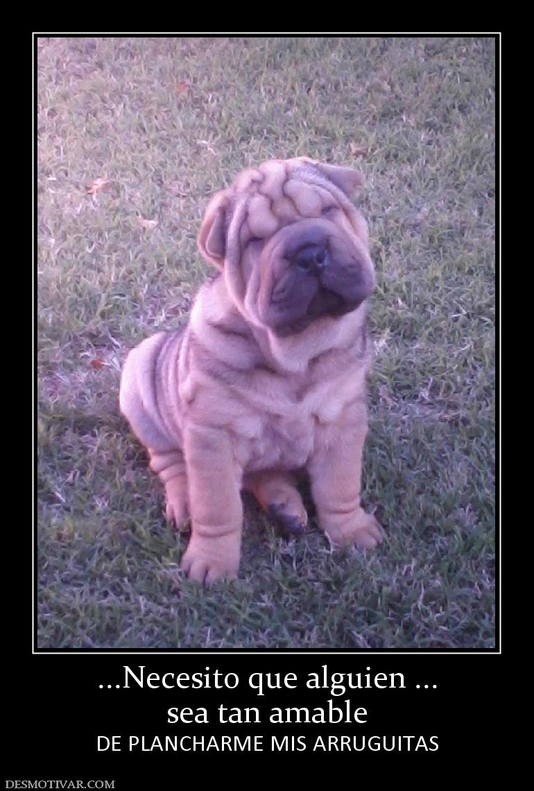 ...Necesito que alguien ... sea tan amable DE PLANCHARME MIS ARRUGUITAS