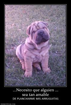 ...Necesito que alguien ... sea tan amable DE PLANCHARME MIS ARRUGUITAS