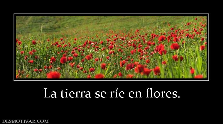 La tierra se ríe en flores.