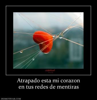Atrapado esta mi corazon en tus redes de mentiras