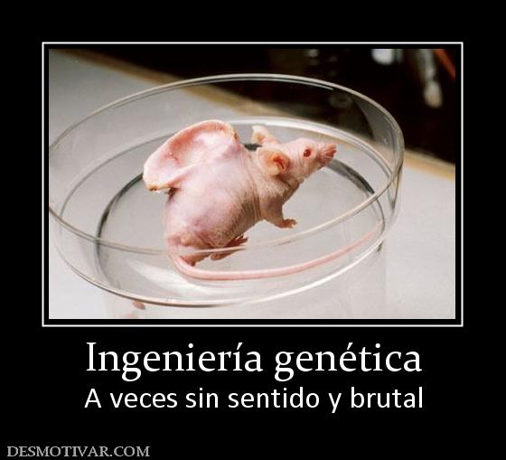 Ingeniería genética A veces sin sentido y brutal