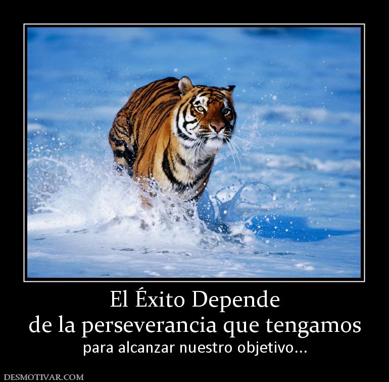 El Éxito Depende de la perseverancia que tengamos para alcanzar nuestro objetivo...