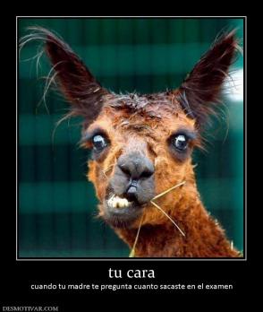 tu cara cuando tu madre te pregunta cuanto sacaste en el examen