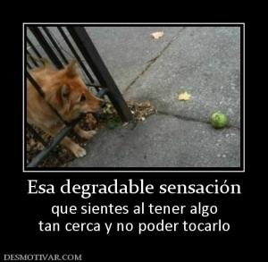 Esa degradable sensación que sientes al tener algo tan cerca y no poder tocarlo