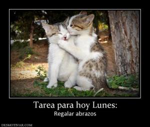 Tarea para hoy Lunes: Regalar abrazos