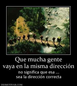 Que mucha gente vaya en la misma dirección no significa que esa ... sea la dirección correcta
