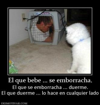 El que bebe ... se emborracha. El que se emborracha ... duerme. El que duerme ... lo hace en cualquier lado