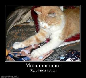 Mmmmmmmm ¡Que linda gatita!