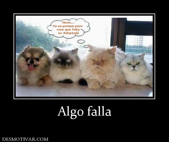 Algo falla