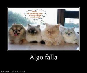 Algo falla