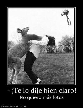 - ¡Te lo dije bien claro! No quiero más fotos