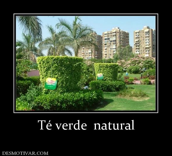 Té verde  natural