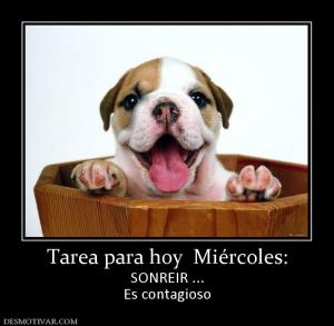 Tarea para hoy  Miércoles: SONREIR ... Es contagioso