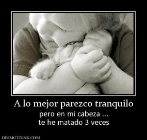 A lo mejor parezco tranquilo pero en mi cabeza ... te he matado 3 veces