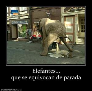 Elefantes... que se equivocan de parada