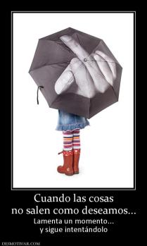 Cuando las cosas no salen como deseamos... Lamenta un momento... y sigue intentándolo