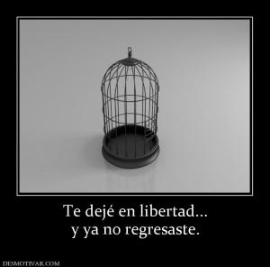 Te dejé en libertad... y ya no regresaste.