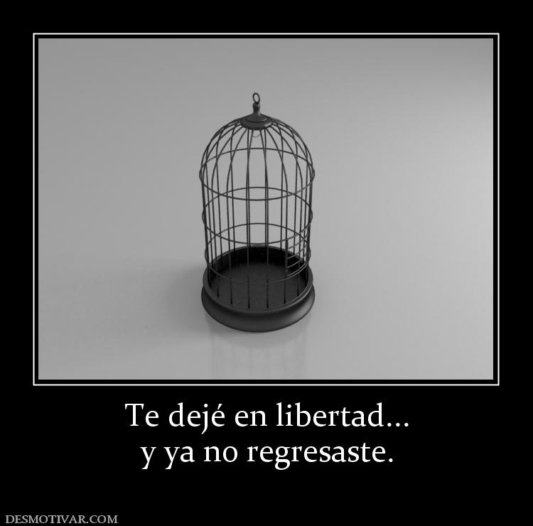 Te dejé en libertad... y ya no regresaste.