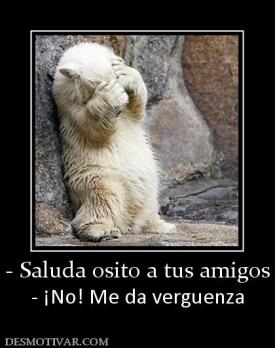 - Saluda osito a tus amigos - ¡No! Me da verguenza
