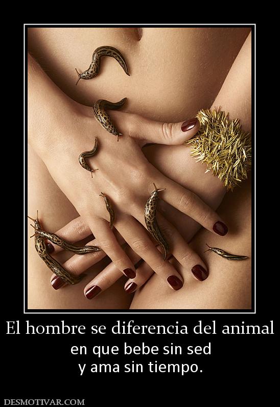 El hombre se diferencia del animal en que bebe sin sed y ama sin tiempo.