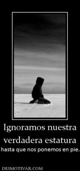 Ignoramos nuestra verdadera estatura hasta que nos ponemos en pie.