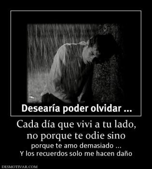 Cada día que vivi a tu lado, no porque te odie sino  porque te amo demasiado ... Y los recuerdos solo me hacen daño