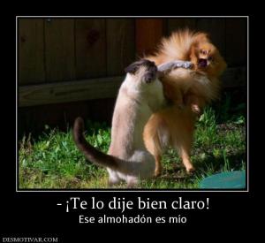 - ¡Te lo dije bien claro! Ese almohadón es mío